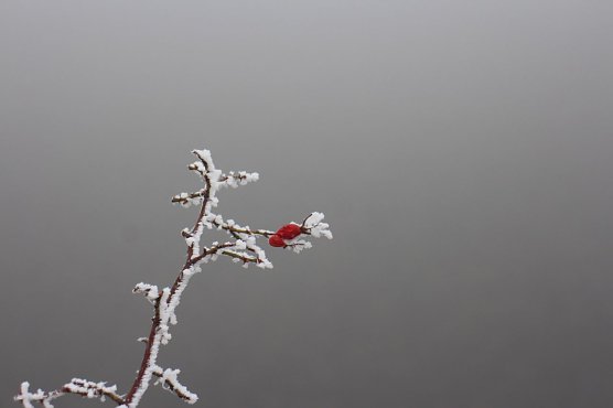 Der Winter könnte Anfang März noch einmal anklopfen (Foto: Angelo Glashagel) Der Winter könnte Anfang März noch einmal anklopfen (Foto: Angelo Glashagel)