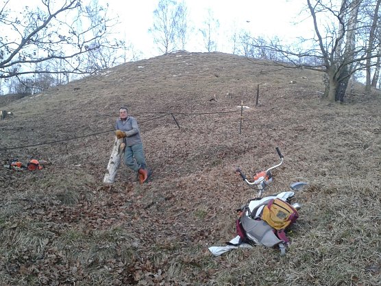 BUND-Kreisverband sch&uuml;tzt Bunte Erdflechten (Foto: Bodo Schwarzberg)