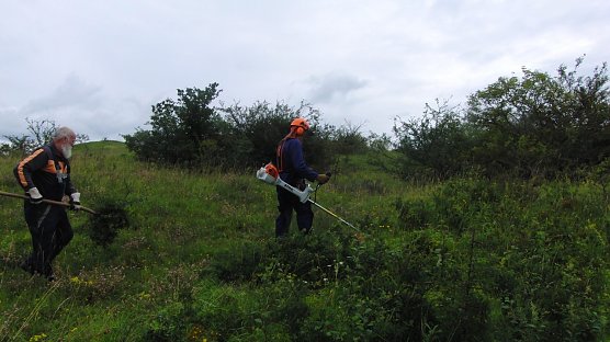 Einsatz auf den Pfaffenk&ouml;pfen - der BUND Nordhausen sucht noch Mitstreiter (Foto: Bodo Schwarzberg)