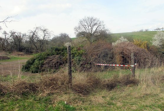 Alles klar für das Osterfeuer (Foto: privat) Alles klar für das Osterfeuer (Foto: privat)