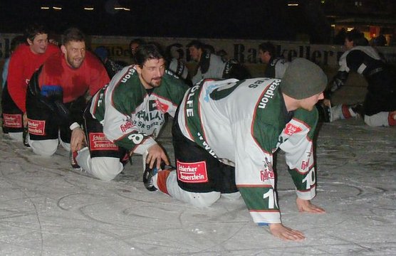 Meister-Raupe (Foto: Koch)