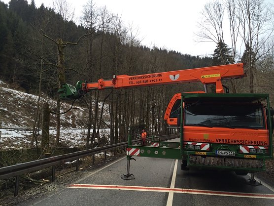 Die Gefahrenb&auml;ume mit Hilfe einer Spezialmaschine, dem Doll Tree Trimmer , gef&auml;llt (Foto: Forstamt Bleicherode-S&uuml;dharz)