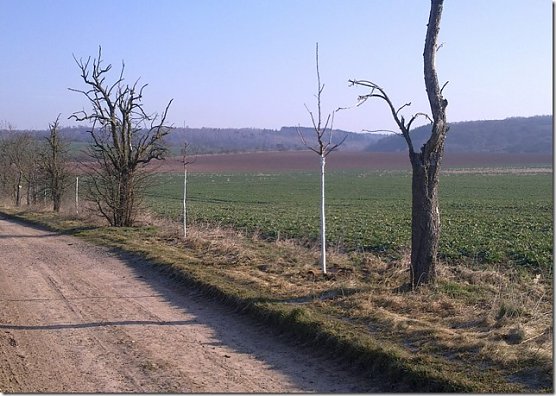 Haltepf&auml;hle fehlen (Foto: privat)