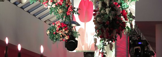 Fr&uuml;hlingsball 2015 (Foto: nnz)