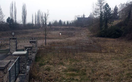 11.000 Quadratmeter f&uuml;r 380.000 Euro (Foto: nnz)