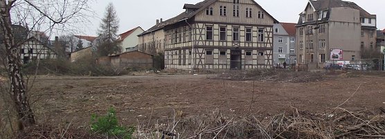 Es muss nicht immer der Acker sein, Kurt Frank hat sich nach Bauland in der Stadt umgesehen (Foto: Kurt Frank)