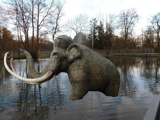 Auf Abwegen (Foto: Fotomontage: Peter Blei)