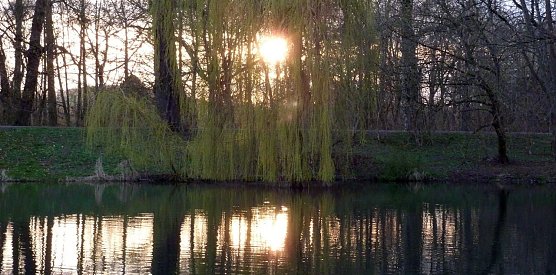 "Untergang" im Park (Foto: Peter Blei)