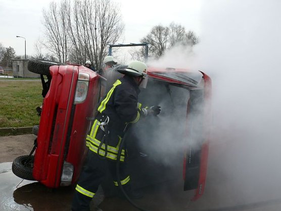 Feuer bei Schweinen (Foto: I. Bergmann) Feuer bei Schweinen (Foto: I. Bergmann)
