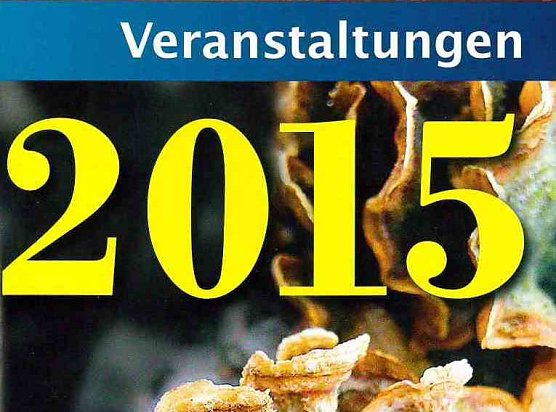 Cover (Foto: privat)