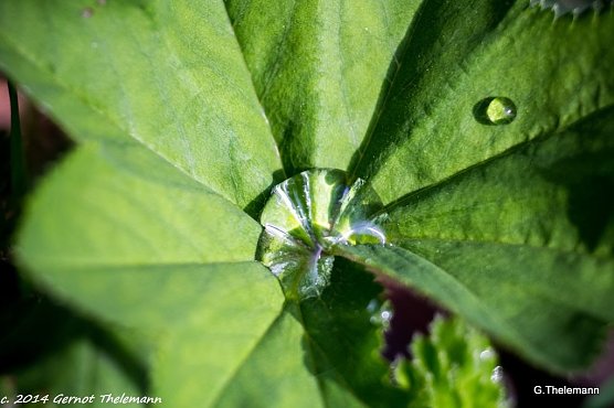 Wetterbild (Foto: Gernot Thelemann) Wetterbild (Foto: Gernot Thelemann)