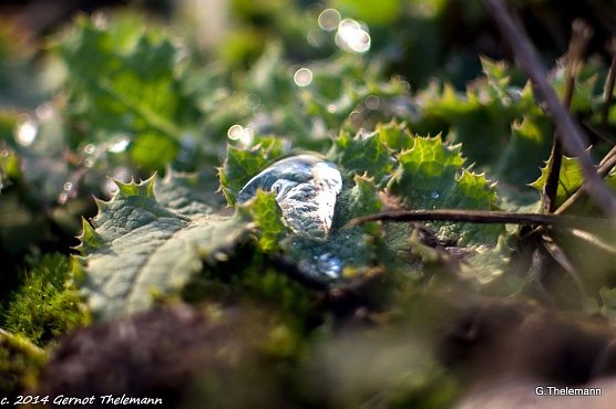 Wetterbild (Foto: Gernot Thelemann) Wetterbild (Foto: Gernot Thelemann)