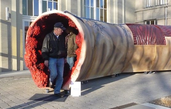 Informationen zu Darmkrebs (Foto: nnz)