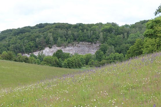 Exkursion in die R&uuml;digsdorfer Schweiz (Foto: Jessica Pieper)