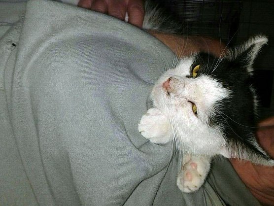 Tina (Foto: Birgit Hellrung)