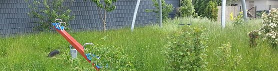 Spielplatz am Schwalbenweg: wild wucherndes Wiesengr&uuml;n statt spielender Kinder (Foto: privat)
