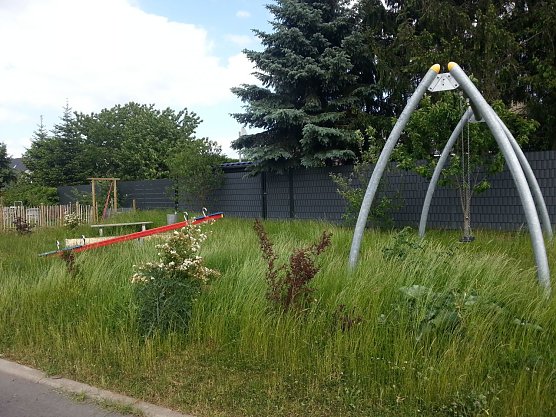Spielplatz am Schwalbenweg: wild wucherndes Wiesengr&uuml;n statt spielender Kinder (Foto: privat)