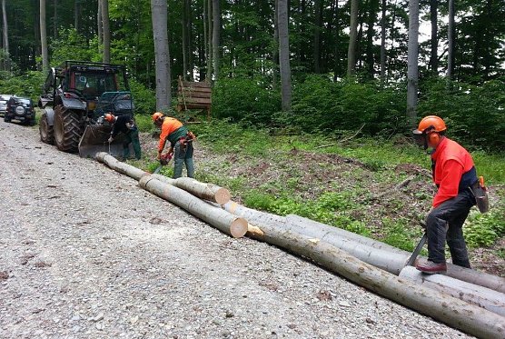 Noch viel zu tun. (Foto: Forstamt Bleicherode-Südharz) Noch viel zu tun. (Foto: Forstamt Bleicherode-Südharz)