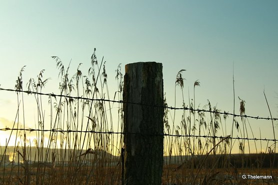 Wetter-Bild (Foto: Gernot Thelemann)