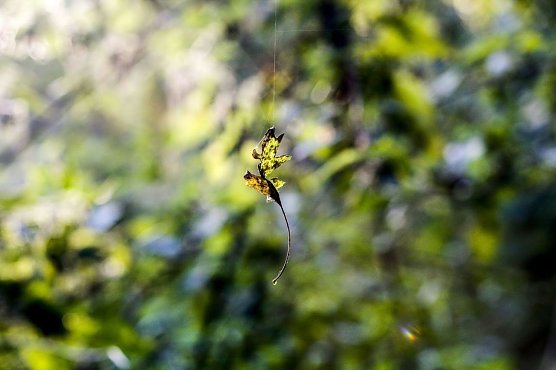 Wetterbild (Foto: Gernot Thelemann)