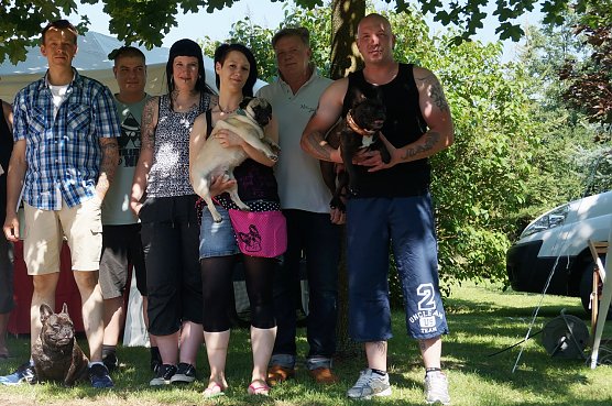 Bulldoggentreffen (Foto: Sandra Witzel) Bulldoggentreffen (Foto: Sandra Witzel)