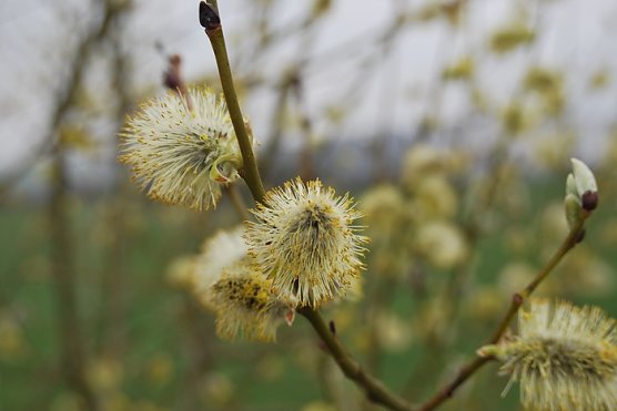 Unterwegs (Foto: N. Heinrich) Unterwegs (Foto: N. Heinrich)