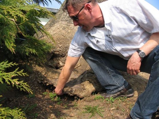 stadt ndh (Foto: stadt ndh) stadt ndh (Foto: stadt ndh)