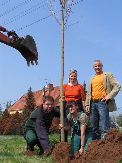 stadt ndh (Foto: stadt ndh) stadt ndh (Foto: stadt ndh)