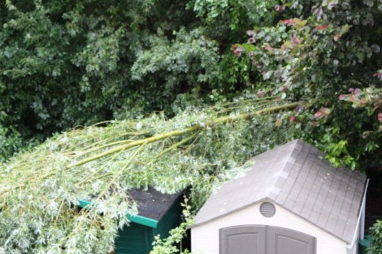 Sturmschaden im M&auml;usetal (Foto: privat)