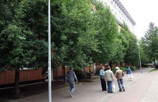 Viel Gr&uuml;n, wenig Licht in den Zimmern (Foto: nnz)