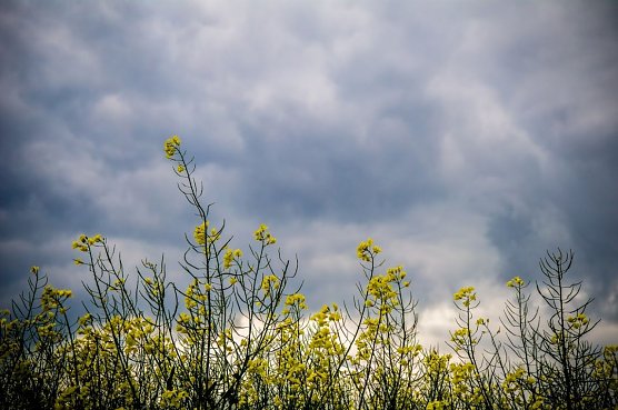 Wetter-Bild (Foto: Gernot Thelemann)