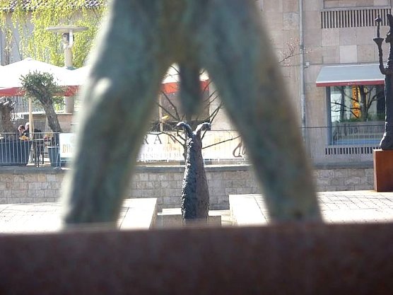 Oben auf dem Berg (Foto: H. M&uuml;ller)