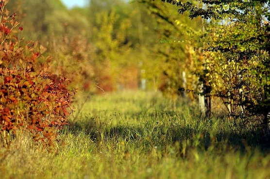 Wetterbild (Foto: Gernot Thelemann) Wetterbild (Foto: Gernot Thelemann)