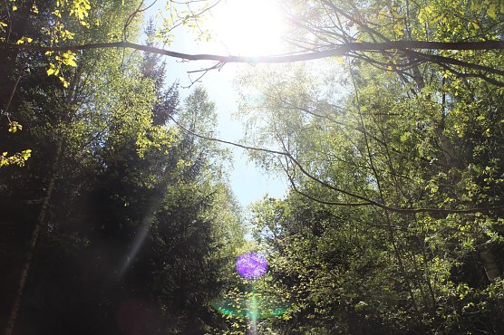 Wetterbild (Foto: Angelo Glashagel) Wetterbild (Foto: Angelo Glashagel)