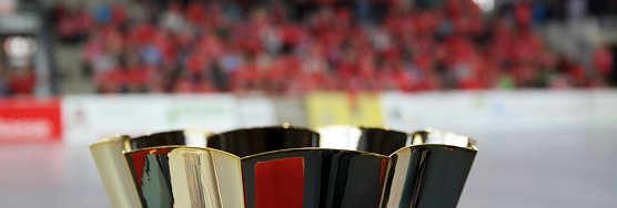 Der Cup und die "Rote Wand" des THC (Foto: nnz)