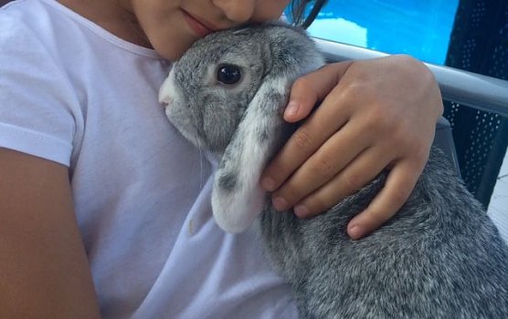 Entlaufen (Foto: privat)