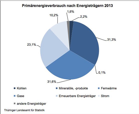 Prim&auml;renergieverbrauch nach Energietr&auml;gern 2013 (Foto: Th&uuml;ringer Landesamt f&uuml;r Statistik)