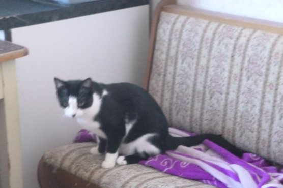 Tier der Woche: Samira (Foto: Birgit Hellrung)