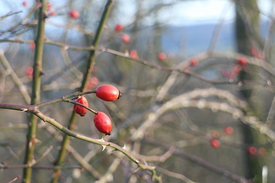 Wetterbild (Foto: Angelo Glashagel)