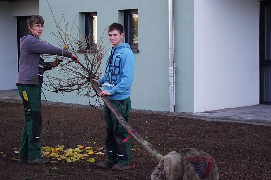 Die Au&szlig;enanlagen einschlie&szlig;lich Rasenfl&auml;chen gestaltet die Landschafts-und Gartenbaufirma B&auml;tzoldt aus Bad Frankenhausen. Sie pflanzte B&uuml;sche, Str&auml;ucher und B&auml;ume. Im Bild Gartenbaumeisterin Petra Weinreich und Rene Helfer, Facharbeiter Gartenbau. (Foto: Kurt Frank)