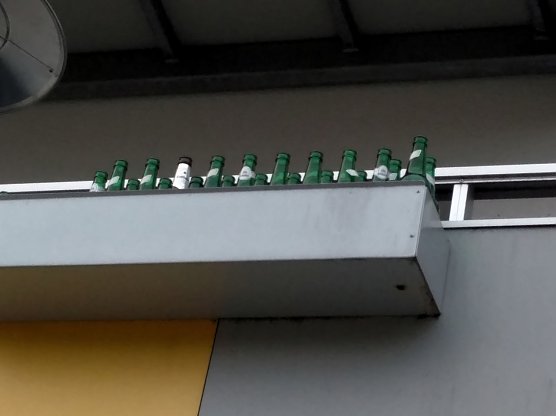 Gesammelt (Foto: Peter Blei)