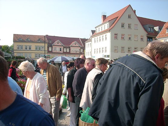 Pflanzenmarkt am Sonntag (Foto: Karl-Heinz Herrmann) Pflanzenmarkt am Sonntag (Foto: Karl-Heinz Herrmann)