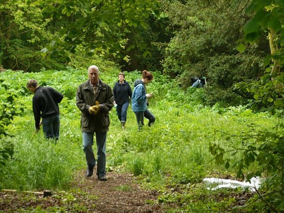 Arbeit im Park (Foto: nnz)