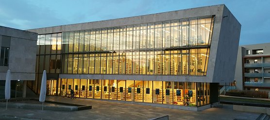 Das Suchbild des Tages (Foto: nnz)