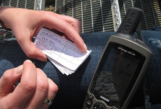 Schnitzel (Foto: Rieger)