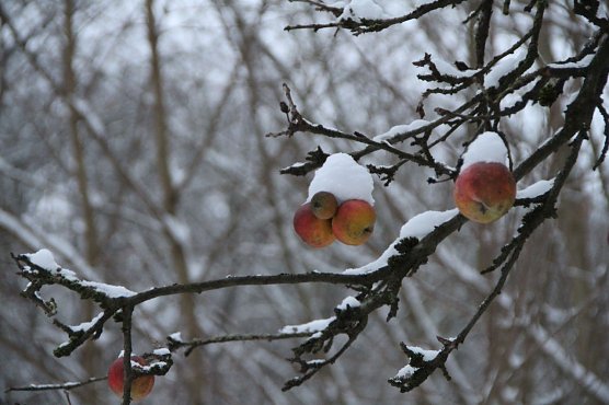 Wetterbild (Foto: Angelo Glashagel)