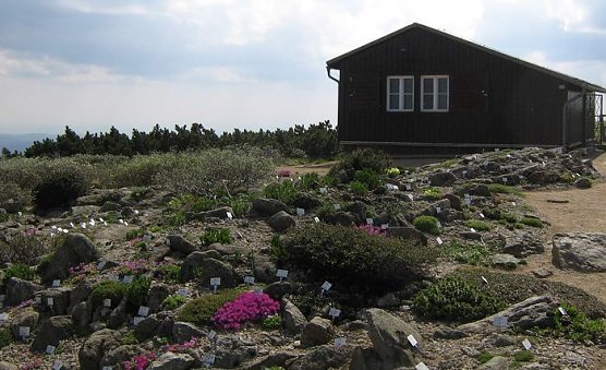 F&uuml;hrungen beginnen (Foto: Dr. Gunter Karste)