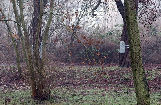 Verpackte Schmierereien (Foto: nnz)