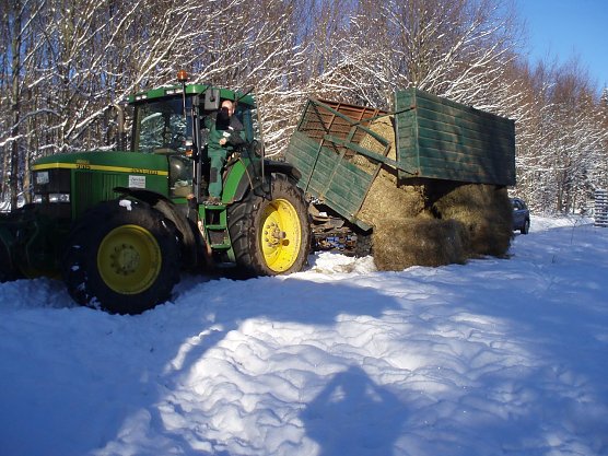 Anlieferung (Foto: Forstamt)