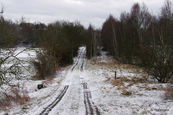 Wetter-Bild (Foto: Gernot Thelemann)